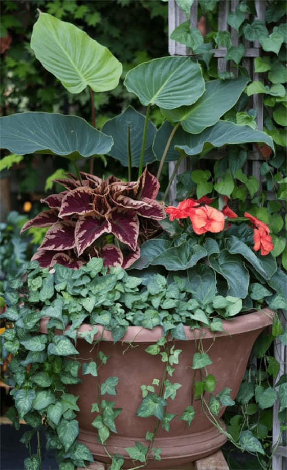 unique-ideas-for-fall-planters